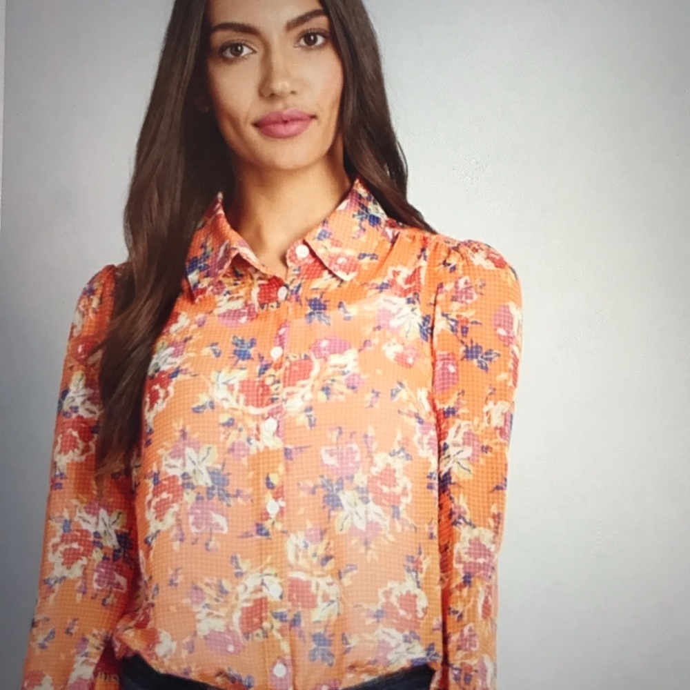 NWT’s Modcloth button up sheer long sleeve blouse. Size large